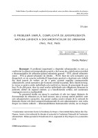 O problemă simplă, complicată de jurisprudență: natura juridică a documentațiilor de urbanism  (PUG, PUZ, PUD)